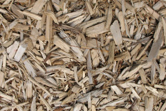 biomass boilers Ffawyddog